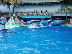 -海合安成都极地海洋公园