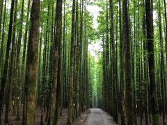 -山王坪喀斯特国家生态公园
