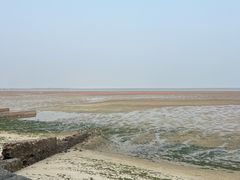 -北海金海湾红树林生态旅游区