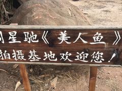 -杨梅坑
