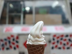 -富豪雪糕车流动点(尖沙咀)