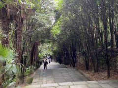 -武当山风景区-太子坡
