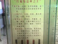 -北京张裕爱斐堡酒庄