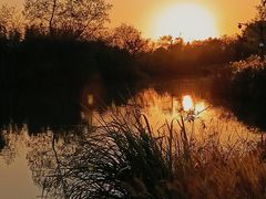 -西溪国家湿地公园