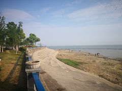 -合肥滨湖国家森林公园