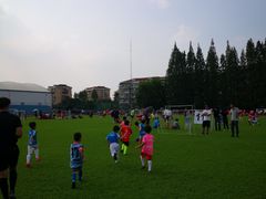 -小赛虎少儿足球培训(南翔校区)