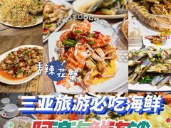 -三亚蜈支洲岛旅游区