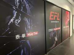 -EFL巴西柔术·综合格斗·泰拳·少儿体能训练(虹桥德必馆)