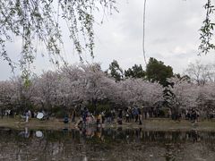 -堤角公园
