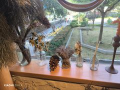 -野草莓自由市场