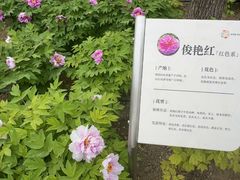 -太阳宫公园