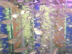 -如家酒店(北京师范大学积水潭店)