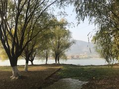 -长广溪湿地公园