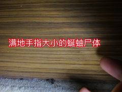 -上海滴水湖皇冠假日酒店