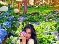 -天适樱花悠乐园