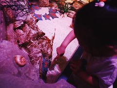 -沈阳海洋探索中心