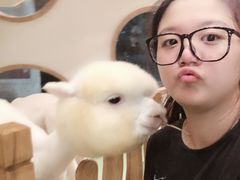 -藦茜花园宠物主题亲子互动体验馆(国顺东路店)