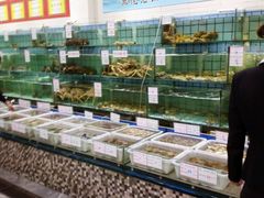 水产区-海岛渔村大酒店(云霄路店)