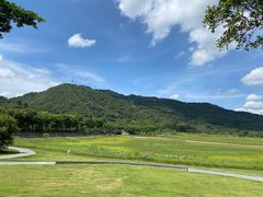 -风云岭森林公园