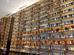 -深影国际影城(学院南路店CGS中国巨幕店)