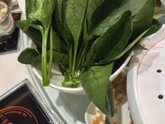 -草原传奇鲜羊火锅(桥北店)