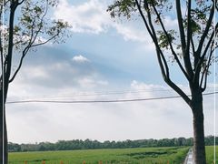 -嘉北郊野公园