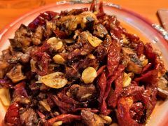 -柴窝堡22号辣子鸡·传承新疆菜