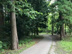 -北海道神宫