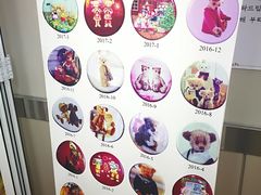 -珍妮曲奇聪明小熊(上环店)
