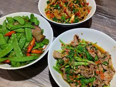 鸭掌筋-壹盏灯(惠农店)