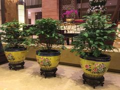 -红豆杉庄会议中心