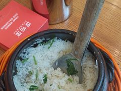 -饭怕鱼(阳光100店)