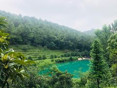 -九龙潭景区