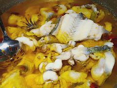 -雲蜀龙阁·金牌水煮鱼(方庄店)