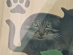 -青藏高原野生动物园