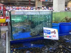 水产区-东江海鲜酒家(艺都分店)