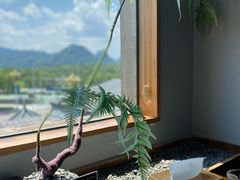 -宴武夷·匠心闽味(印象大红袍店)