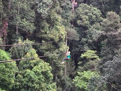 -清迈丛林飞跃 JungleFlight