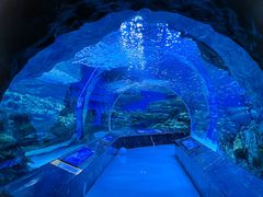 -海合安成都极地海洋公园