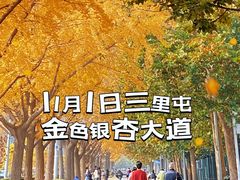 -三里屯东五街银杏大道