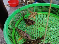 -湛江海鲜餐厅