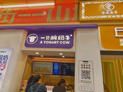 -一只酸奶牛(八一路店)