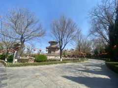 -大槐树寻根祭祖园