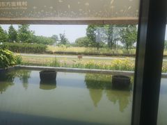 -田园东方蜜桃村的田野营地