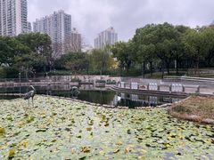 -苏州河梦清园环保主题公园