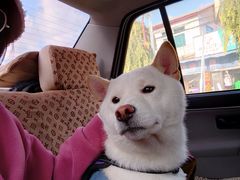 -三块石国家森林公园