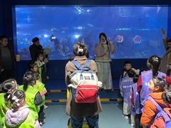 -重庆欢乐海底世界