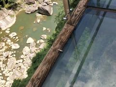 -九鲤溪瀑景区