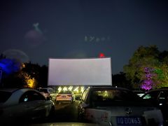 -枫花园汽车电影院(朝阳公园店)