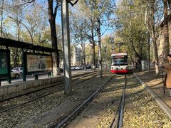 -阿大排档(长春这有山店)